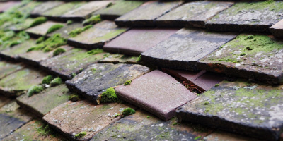 Felindre roof repair costs